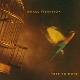 ISRAEL VIBRATION-FREE TO MOVE