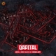 VARIOUS-QAPITAL 2019