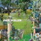 WELLER, PAUL-22 DREAMS
