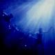 FOALS-TOTAL LIFE FOREVER
