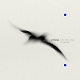 TIERSEN, YANN-RATHLIN FROM A DISTANCE/THE LIQ...