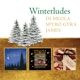 DI MEOLA, AL-WINTERLUDES