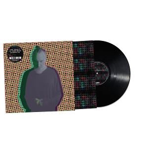 FINK-BEAUTY IN YOUR WAKE ACOUSTIC
