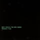 CAVE, NICK & THE BAD SEEDS-SKELETON TREE