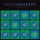 NIGHT CRICKETS-A FREE SOCIETY