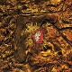 DEUS-WORST CASE SCENARIO