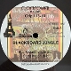 UPSETTERS-BLACKBOARD JUNGLE DUB