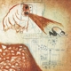 DEERHOOF-FUTURE TEENAGE CAVE ARTISTS -COLOURED-