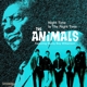 ANIMALS-NIGHT TIME IS THE RIGHT TIME