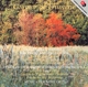 DE FRUMERIE, GUNNAR-VARIATIONS AND FUGUE FOR ...