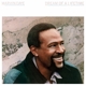 GAYE, MARVIN-DREAM OF A LIFETIME -CLRD-