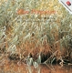 PETTERSSON, ALLAN-SONATAS FOR TWO VIOLINS