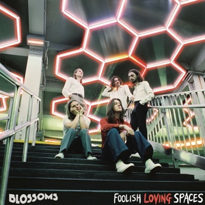 BLOSSOMS-FOOLISH LOVING SPACES