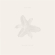 DEAD TONGUES-BODY OF LIGHT / I AM A CLOUD