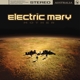 ELECTRIC MARY-MOTHER