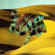 DJANGO DJANGO-DJANGO DJANGO -LTD-