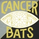 CANCER BATS-SEARCHING FOR ZERO