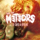 METEORS-40 DAYS A ROTTING
