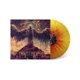 PRIME CREATION-TELL FREEDOM I SAID HELLO -COL...