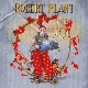 PLANT, ROBERT-BAND OF JOY