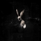 GHOSTKID-FOLLOW THE WHITE RABBIT -COLOURED-