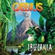 CASSIUS-IBIFORNIA