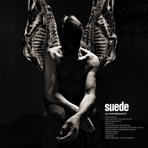 SUEDE-ANTIDEPRESSANTS -COLOURED-