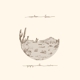 ISAKOV, GREGORY ALAN-APPALOOSA BONES -COLOURE...