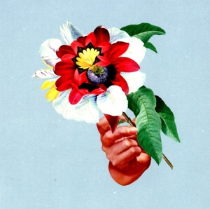 MARIBOU STATE-KINGDOMS IN COLOUR