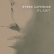 LAVERMAN, NYNKE-PLANT