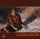WONDER, STEVIE-TALKING BOOK