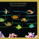 WONDER, STEVIE-MUSIQUARIUM