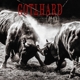 GOTTHARD-#13