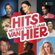 VARIOUS-HET BESTE VAN 10 JAAR HITS VAN HIER