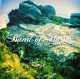 BAND OF HORSES-MIRAGE ROCK