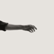 FORSYTH, KEELEY-LIMBS