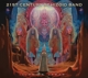 TWENTYFIRST CENTURY SCHIZOID BAND-LIVE IN JAP...