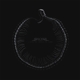 SYLOSIS-A SIGN OF THINGS TO COME