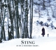 STING-IF ON A WINTER'S NIGHT