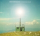 ANSATZ DER MACHINE-TATTOOED BODY BLUES