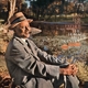 SILVER QUINTET, HORACE-SONG FOR MY FATHER