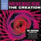 CREATION-PSYCHEDELIC ROSE