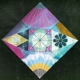 VEIRS, LAURA-WARP & WEFT
