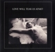 JOY DIVISION-LOVE WILL TEAR US APART
