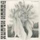 TREES SPEAK-OHMS