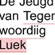 DE JEUGD VAN TEGENWOORDIG-LEUK -COLOURED-