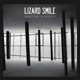LIZARD SMILE-WANDERING IN MIRRORS