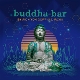 VARIOUS-BUDDHA BAR BY RICH VOM DORE & RAVIN
