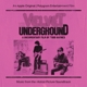 VELVET UNDERGROUND-VELVET UNDERGROUND: DOCUMENTARY FILM BY TODD