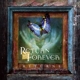 RETURN TO FOREVER-RETURNS - LIVE (CD+BLURAY)
